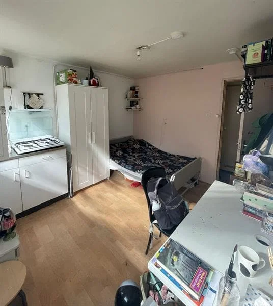 geblurde versie van de foto als achtergrond