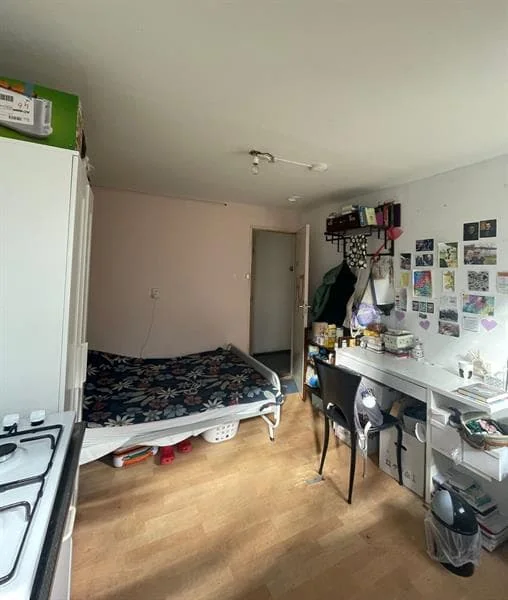 geblurde versie van de foto als achtergrond