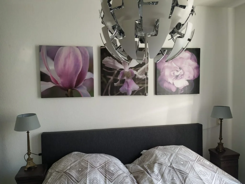geblurde versie van de foto als achtergrond
