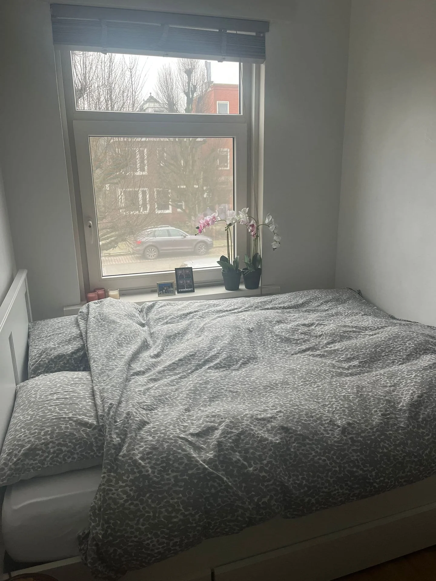 Foto van de Kamer gelegen aan de Helper Brink in Groningen