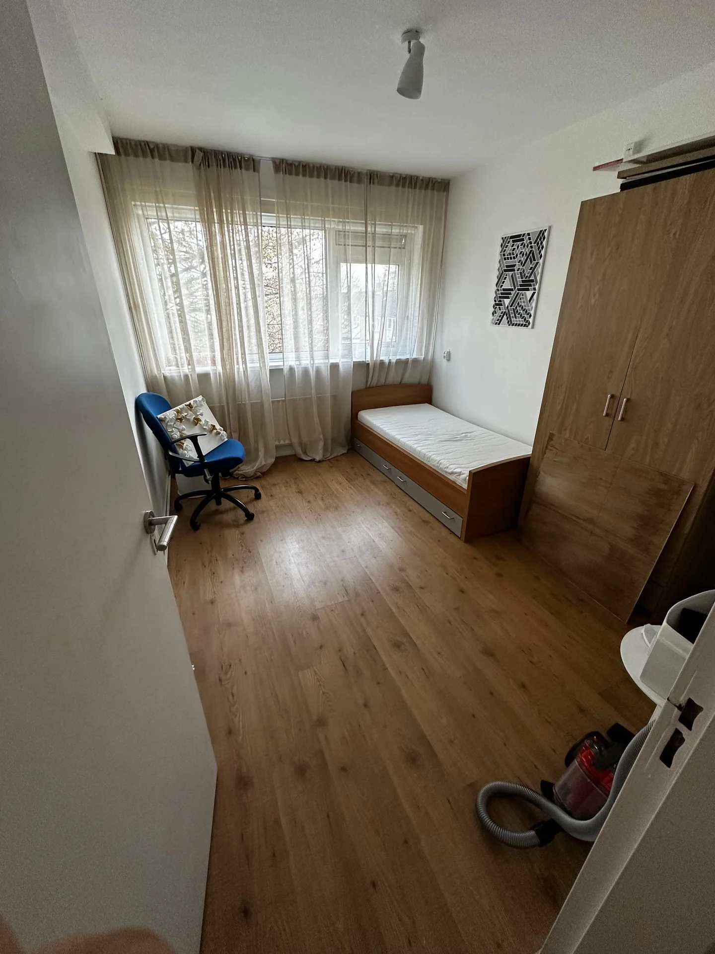 geblurde versie van de foto als achtergrond