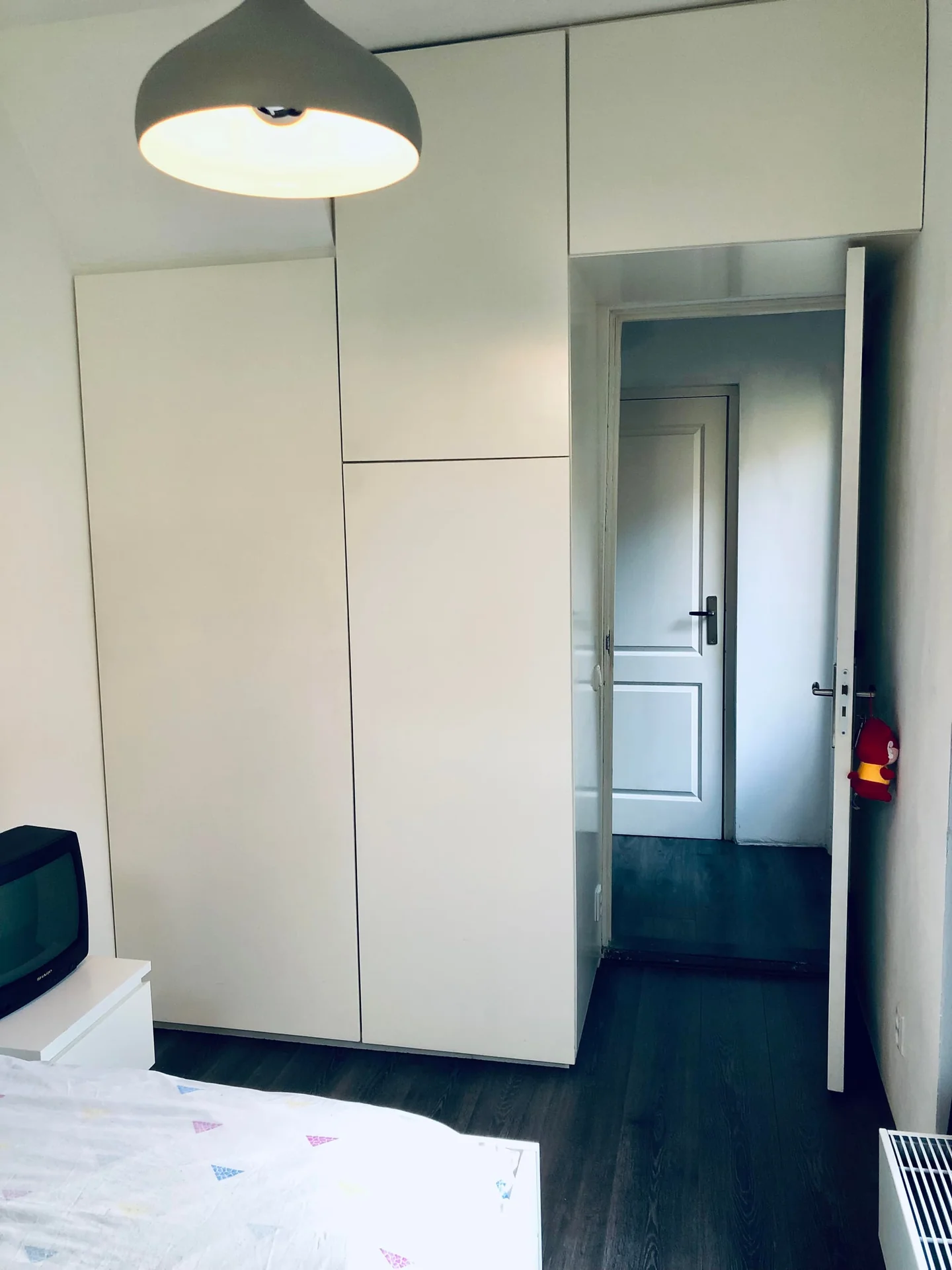 Foto van de Kamer gelegen aan de Piet Heinstraat in Delft