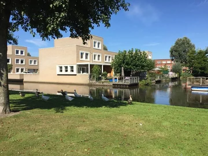 geblurde versie van de foto als achtergrond