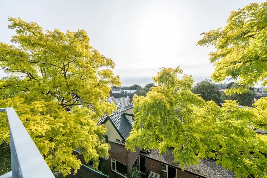 Foto van de Appartement gelegen aan de Klarendalseweg in Arnhem