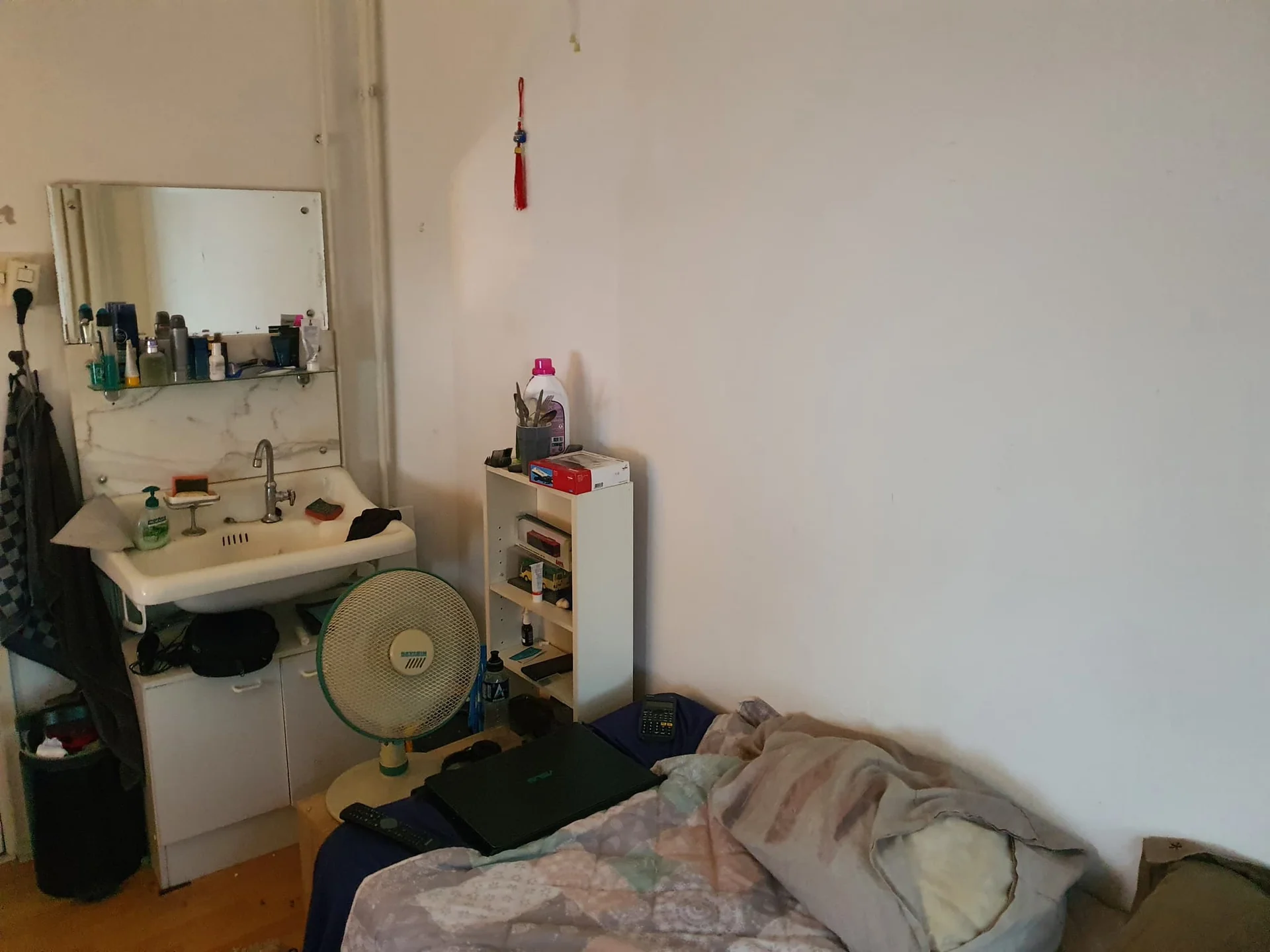 geblurde versie van de foto als achtergrond