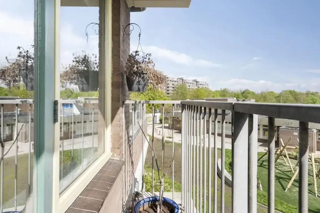 geblurde versie van de foto als achtergrond