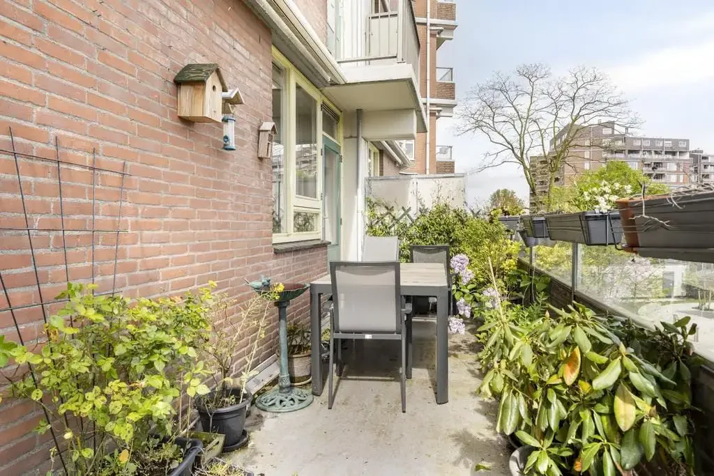 geblurde versie van de foto als achtergrond