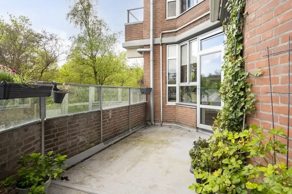 geblurde versie van de foto als achtergrond