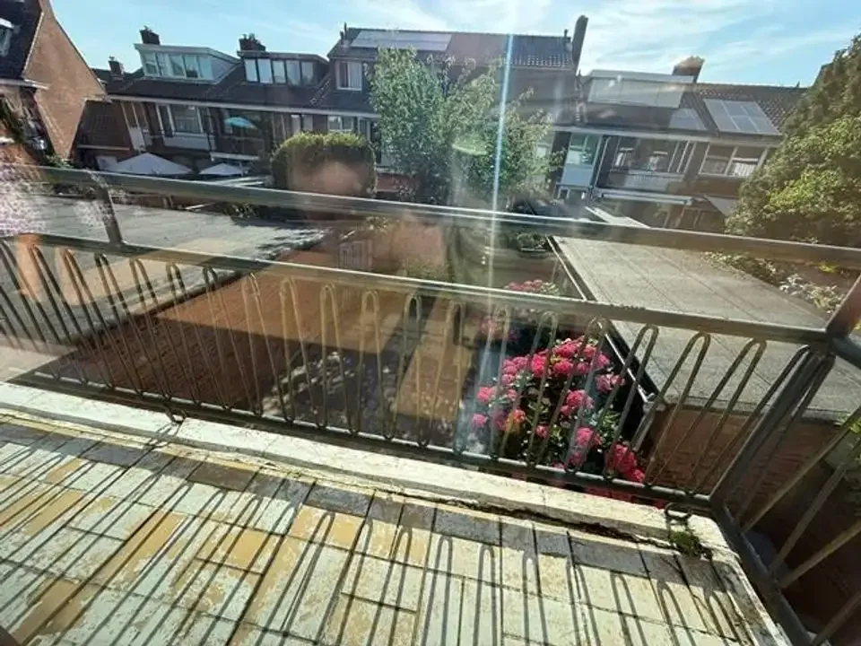 geblurde versie van de foto als achtergrond