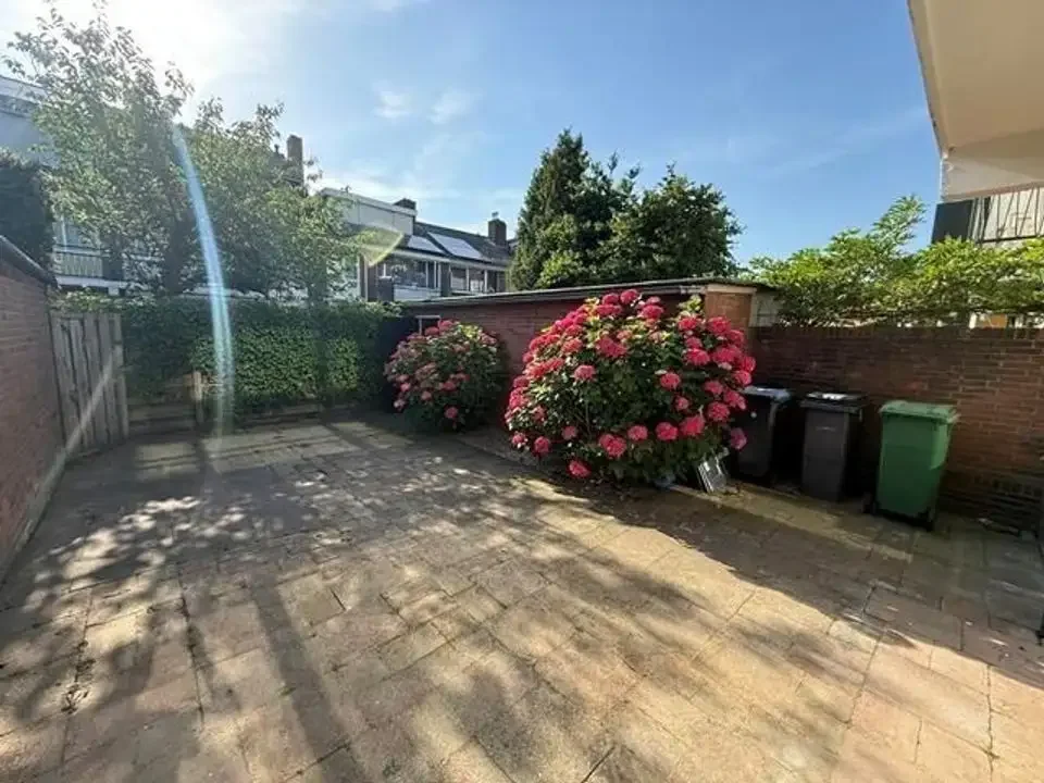 geblurde versie van de foto als achtergrond