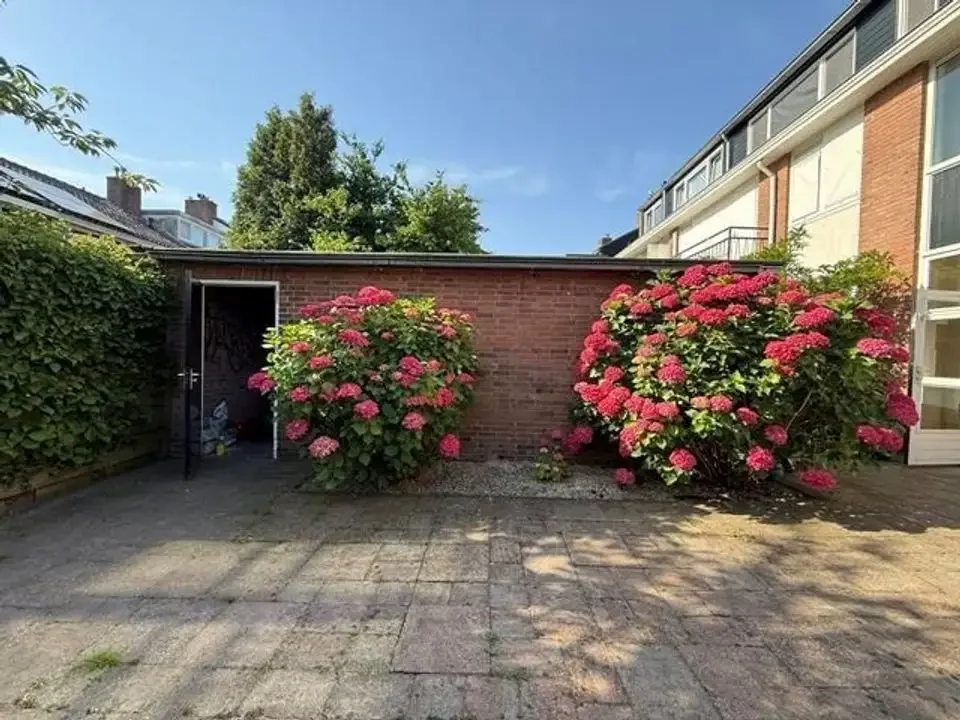 geblurde versie van de foto als achtergrond
