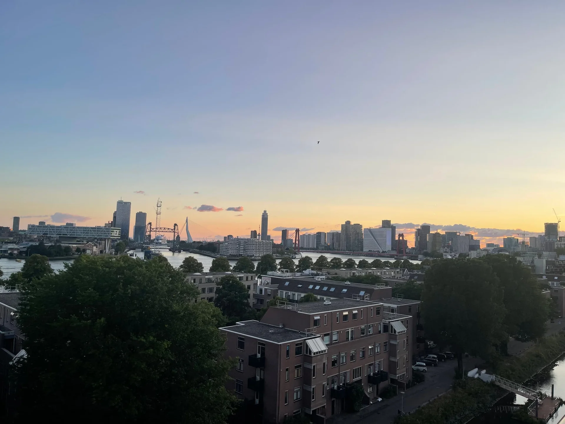 geblurde versie van de foto als achtergrond