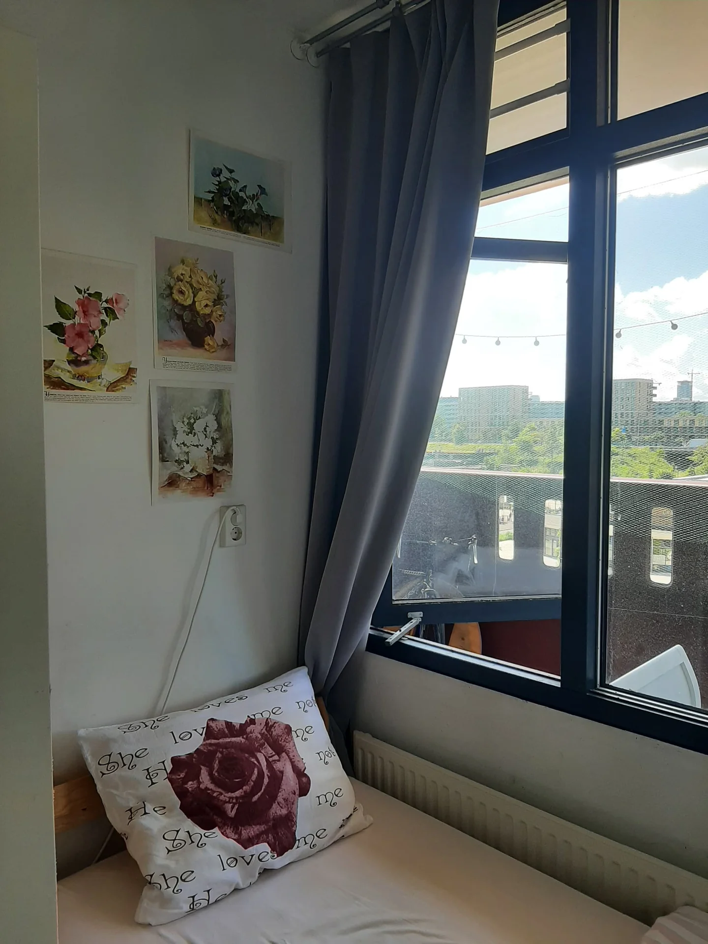 geblurde versie van de foto als achtergrond