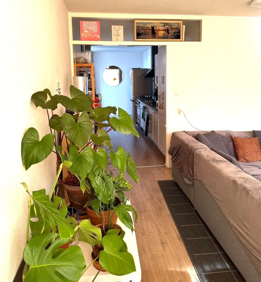 Foto van de Kamer gelegen aan de Dapperstraat in Amsterdam