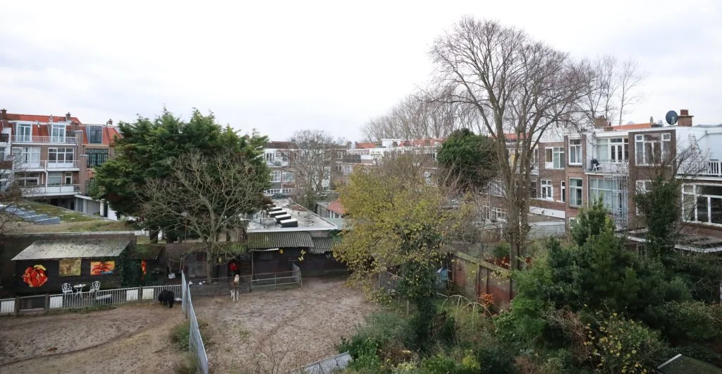 Foto van de Appartement gelegen aan de Doornstraat in Den Haag