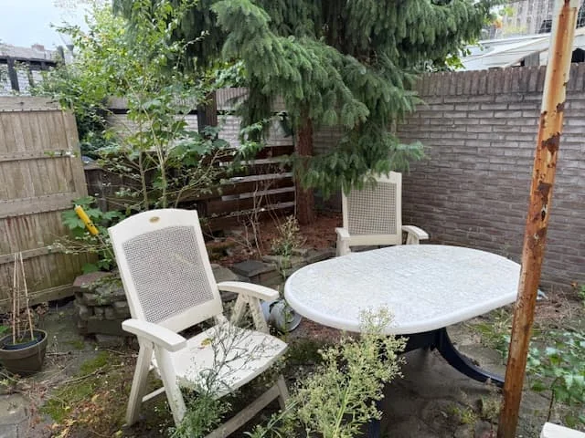 geblurde versie van de foto als achtergrond