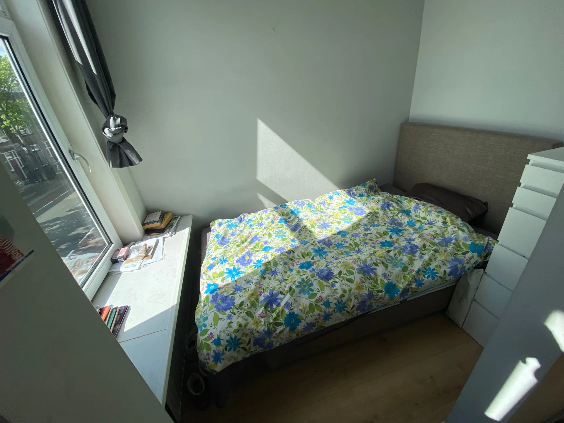 geblurde versie van de foto als achtergrond