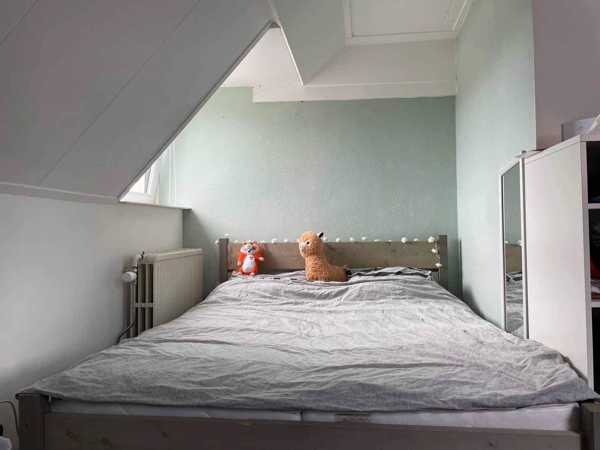 Foto van de Kamer gelegen aan de Rosendaalsestraat in Arnhem