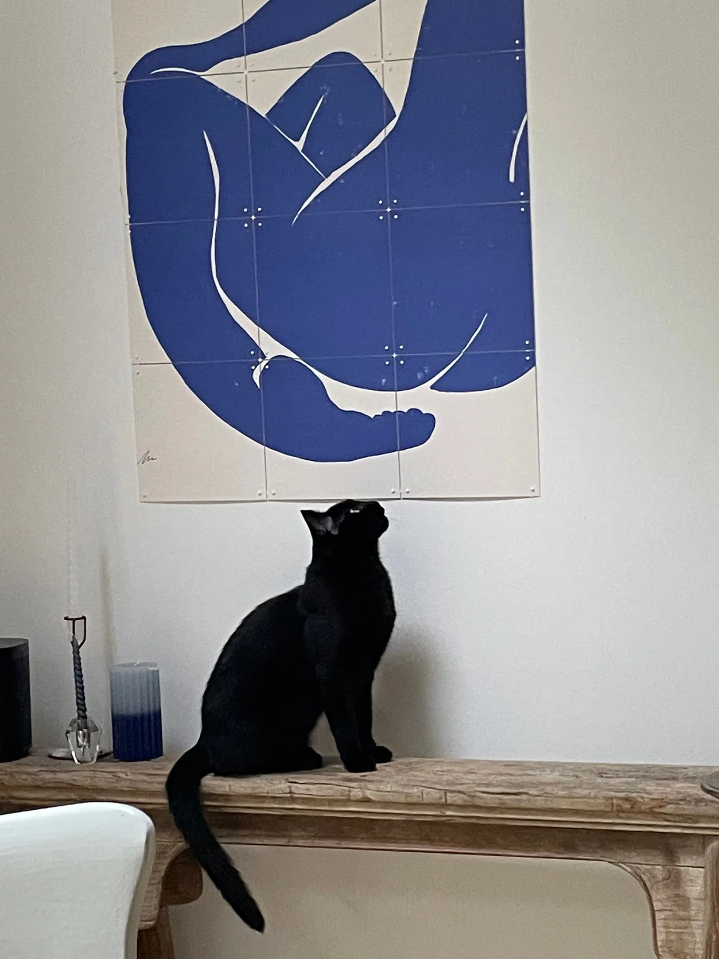 geblurde versie van de foto als achtergrond