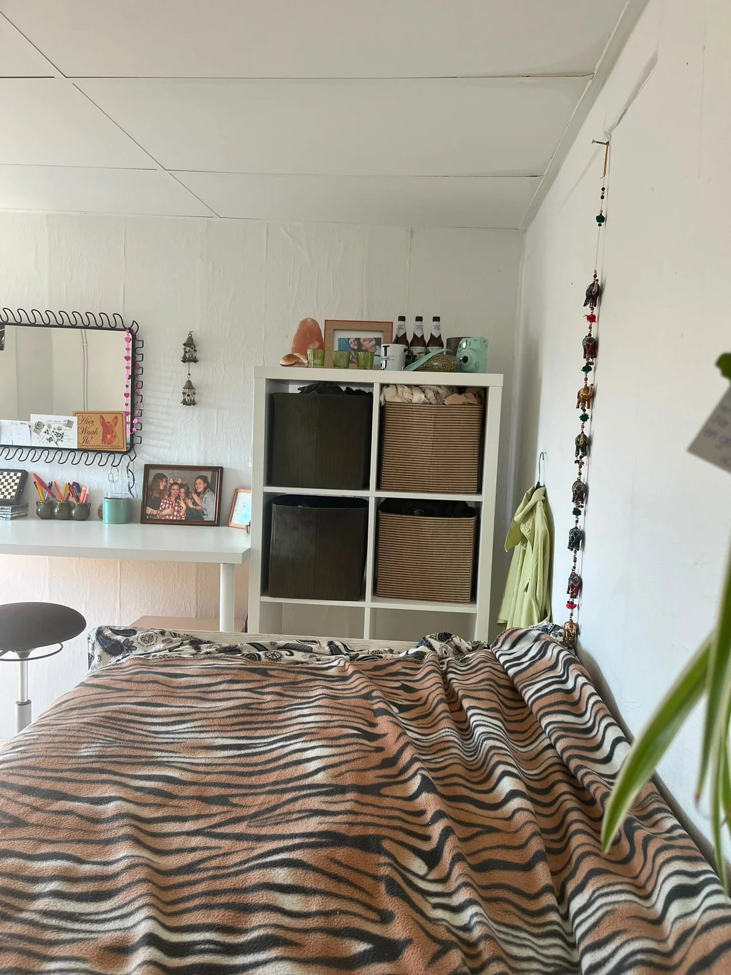 geblurde versie van de foto als achtergrond