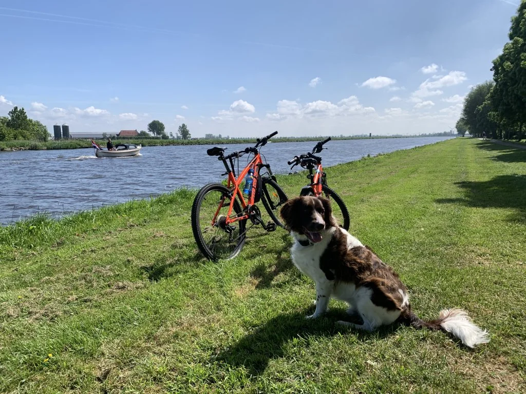 Foto van de Appartement gelegen aan de Huzebosk in Grou
