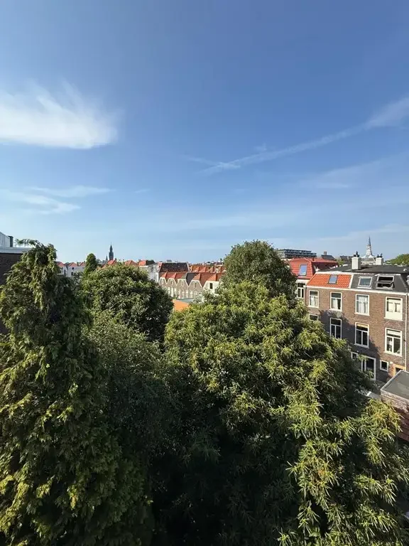 Foto van de Appartement gelegen aan de Vondelstraat in Den Haag