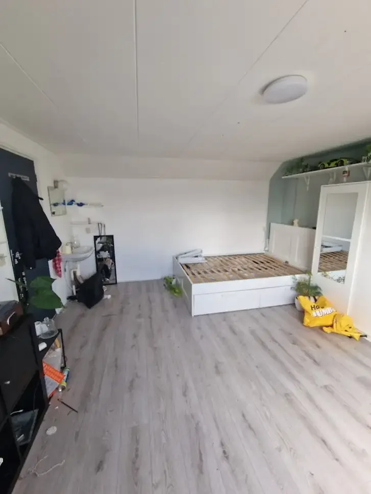 geblurde versie van de foto als achtergrond