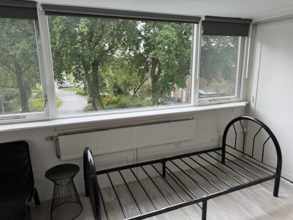 geblurde versie van de foto als achtergrond