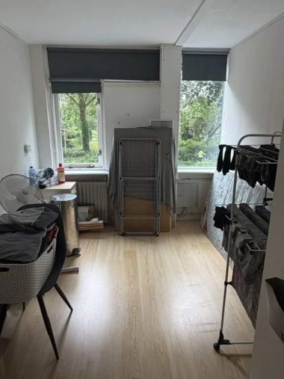 geblurde versie van de foto als achtergrond