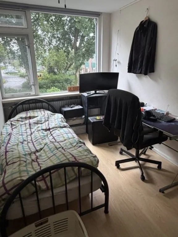 geblurde versie van de foto als achtergrond