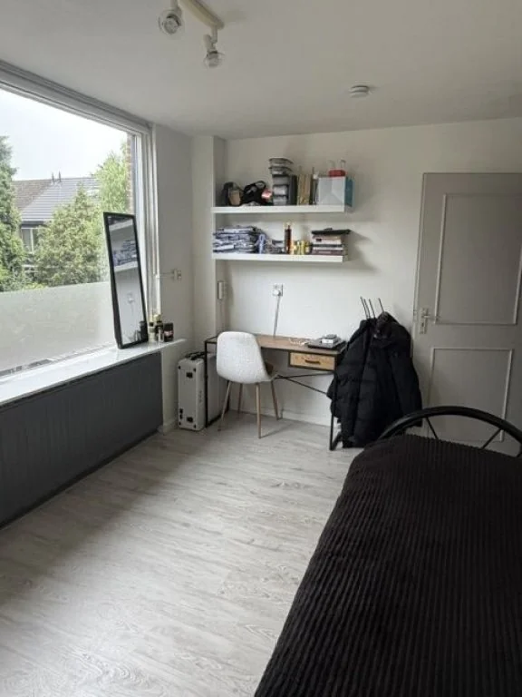 geblurde versie van de foto als achtergrond