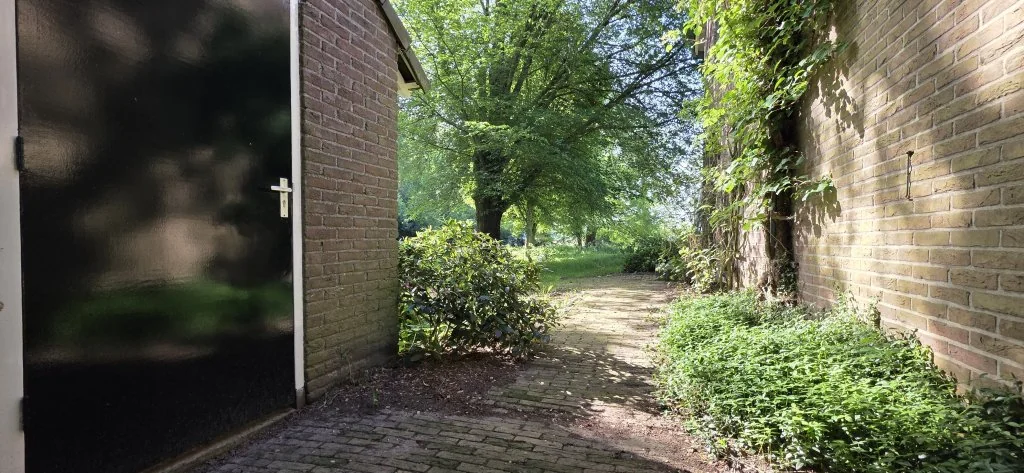 geblurde versie van de foto als achtergrond