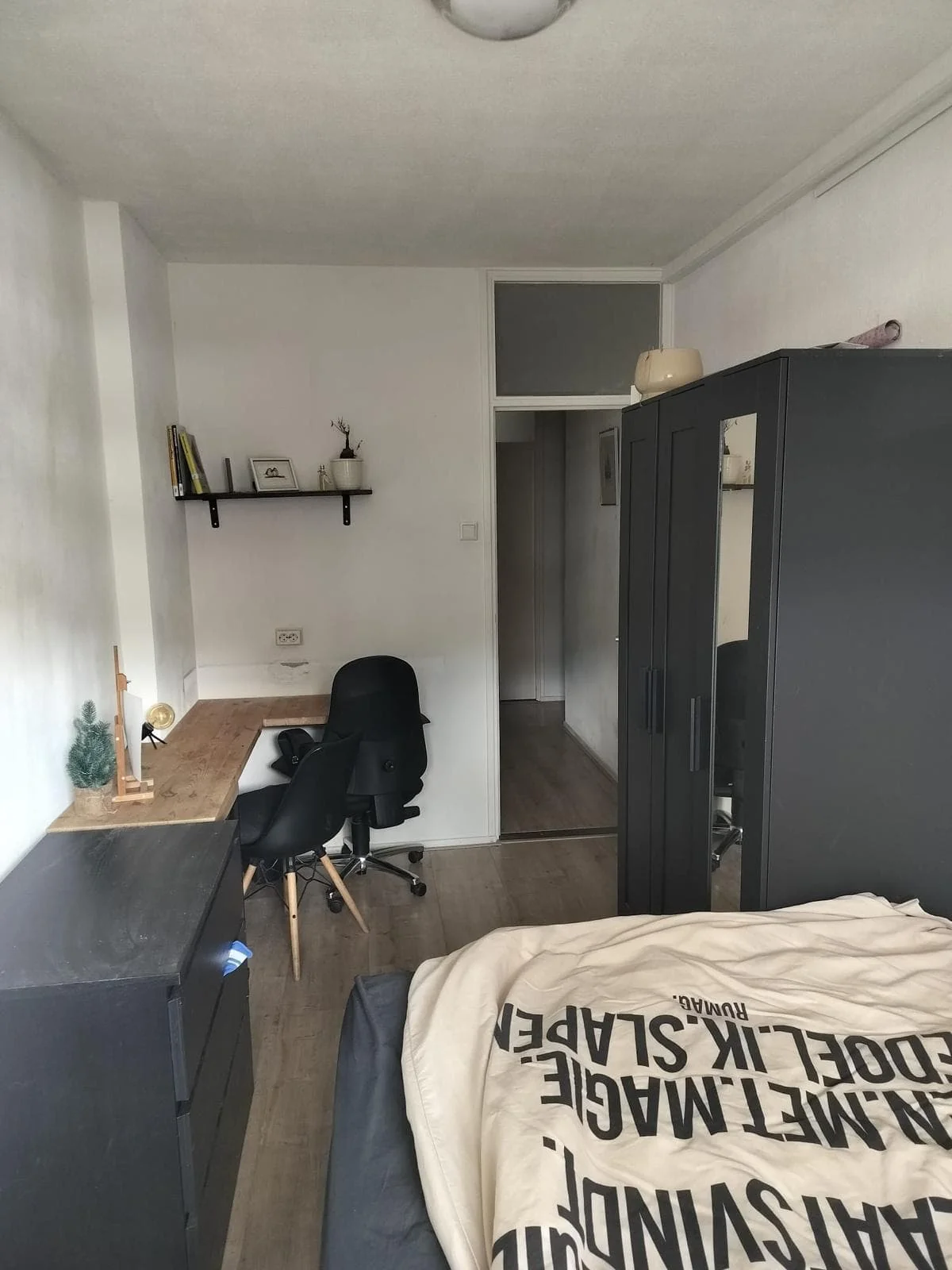 geblurde versie van de foto als achtergrond
