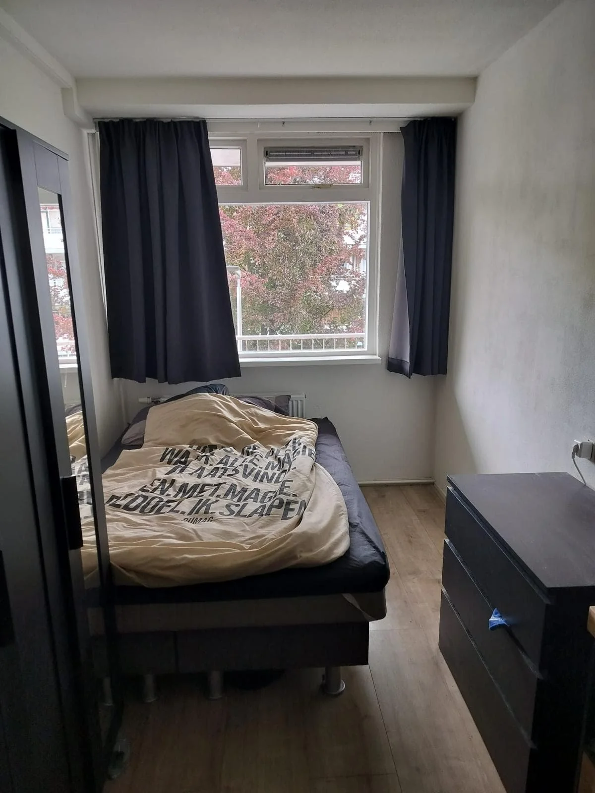 geblurde versie van de foto als achtergrond