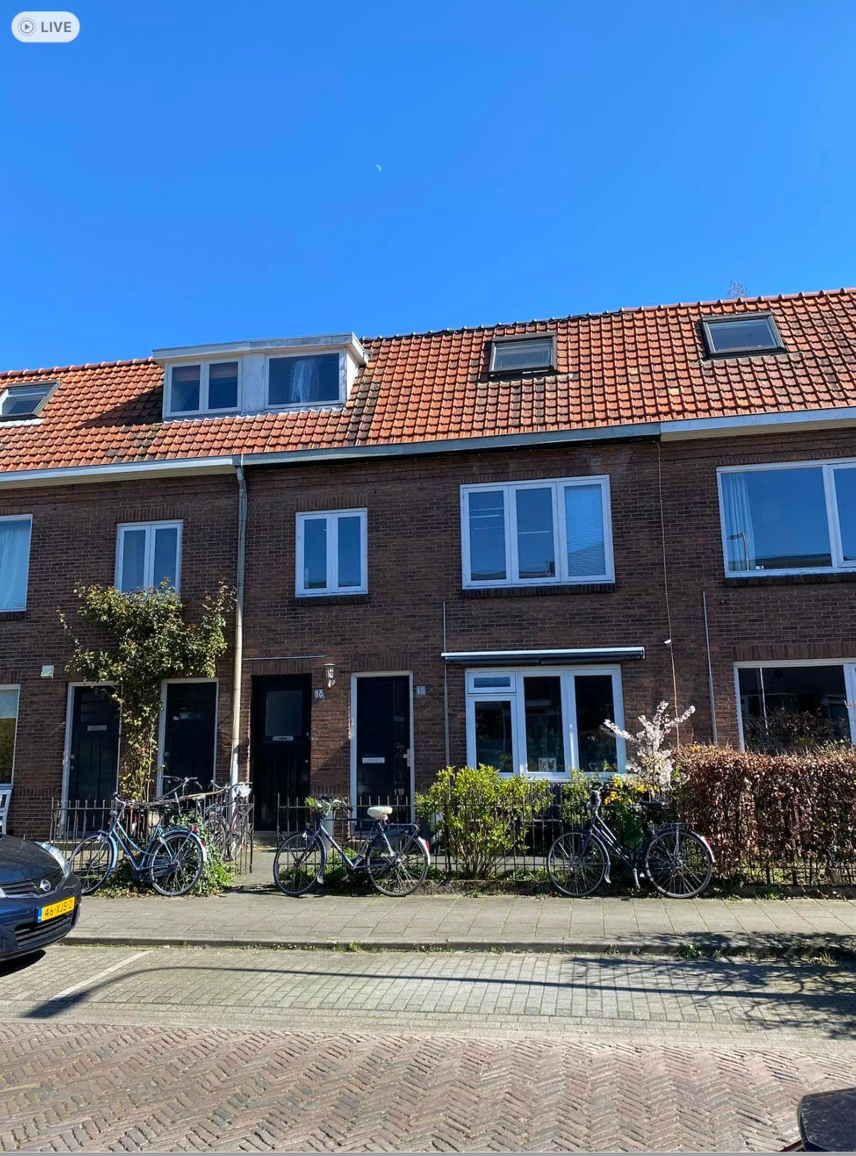 geblurde versie van de foto als achtergrond