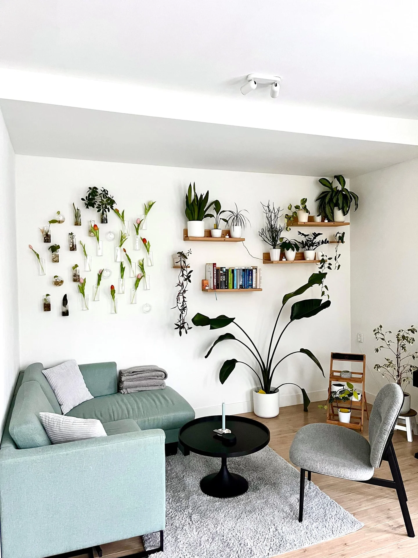 Foto van de Appartement gelegen aan de Kloosterstraat in Haarlem