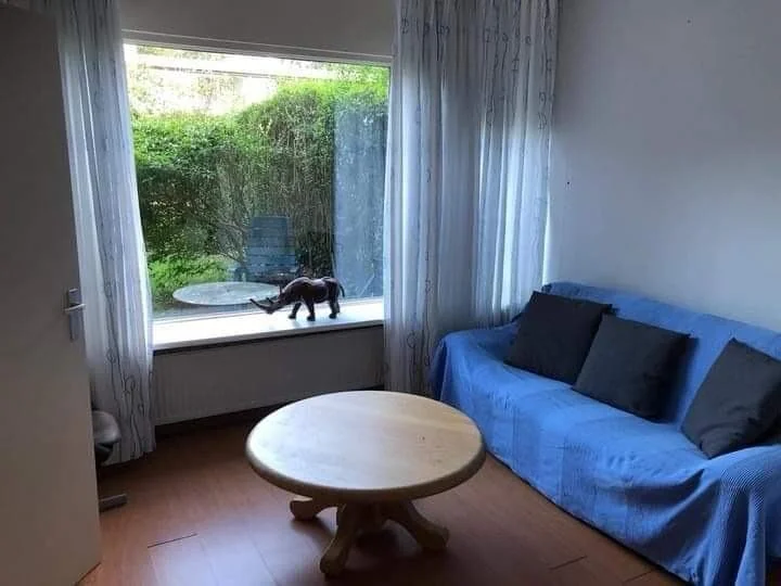 geblurde versie van de foto als achtergrond