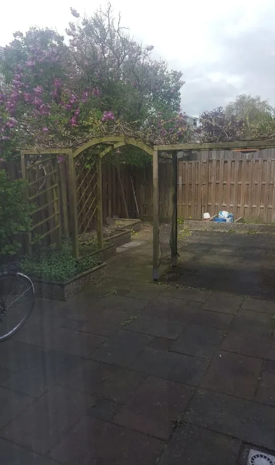 geblurde versie van de foto als achtergrond