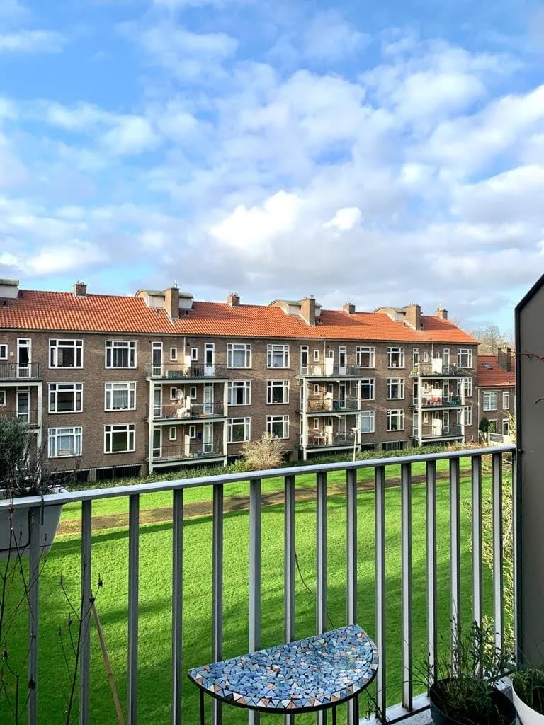 geblurde versie van de foto als achtergrond