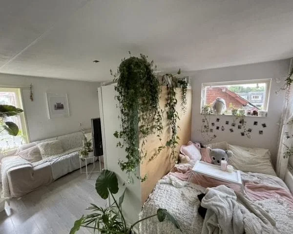 geblurde versie van de foto als achtergrond