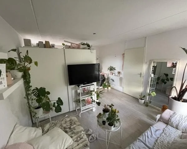 geblurde versie van de foto als achtergrond