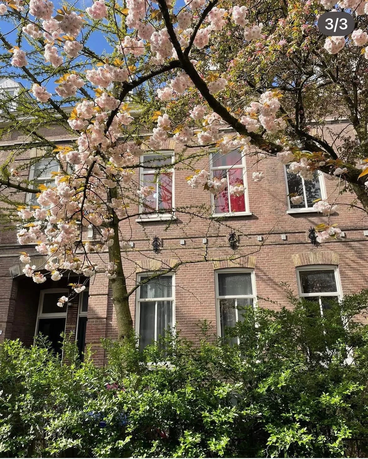 geblurde versie van de foto als achtergrond