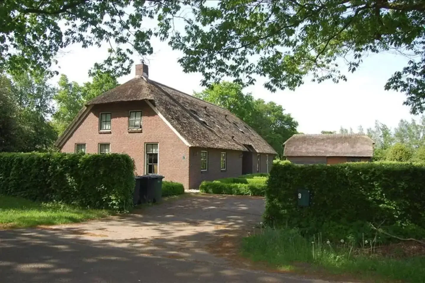 geblurde versie van de foto als achtergrond