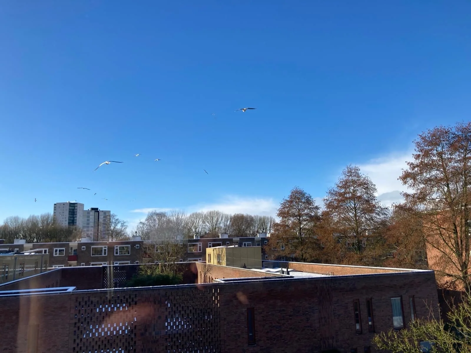 Foto van de Appartement gelegen aan de Nicolaas Beetsstraat in Groningen