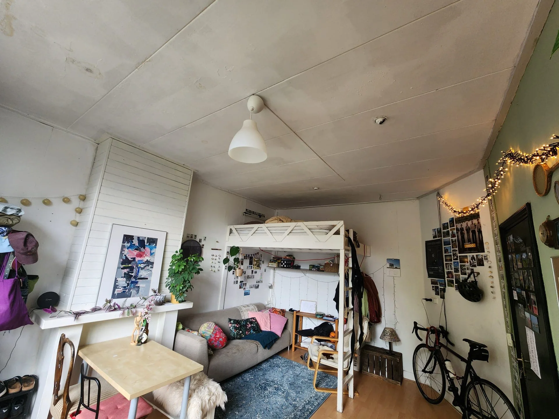 geblurde versie van de foto als achtergrond