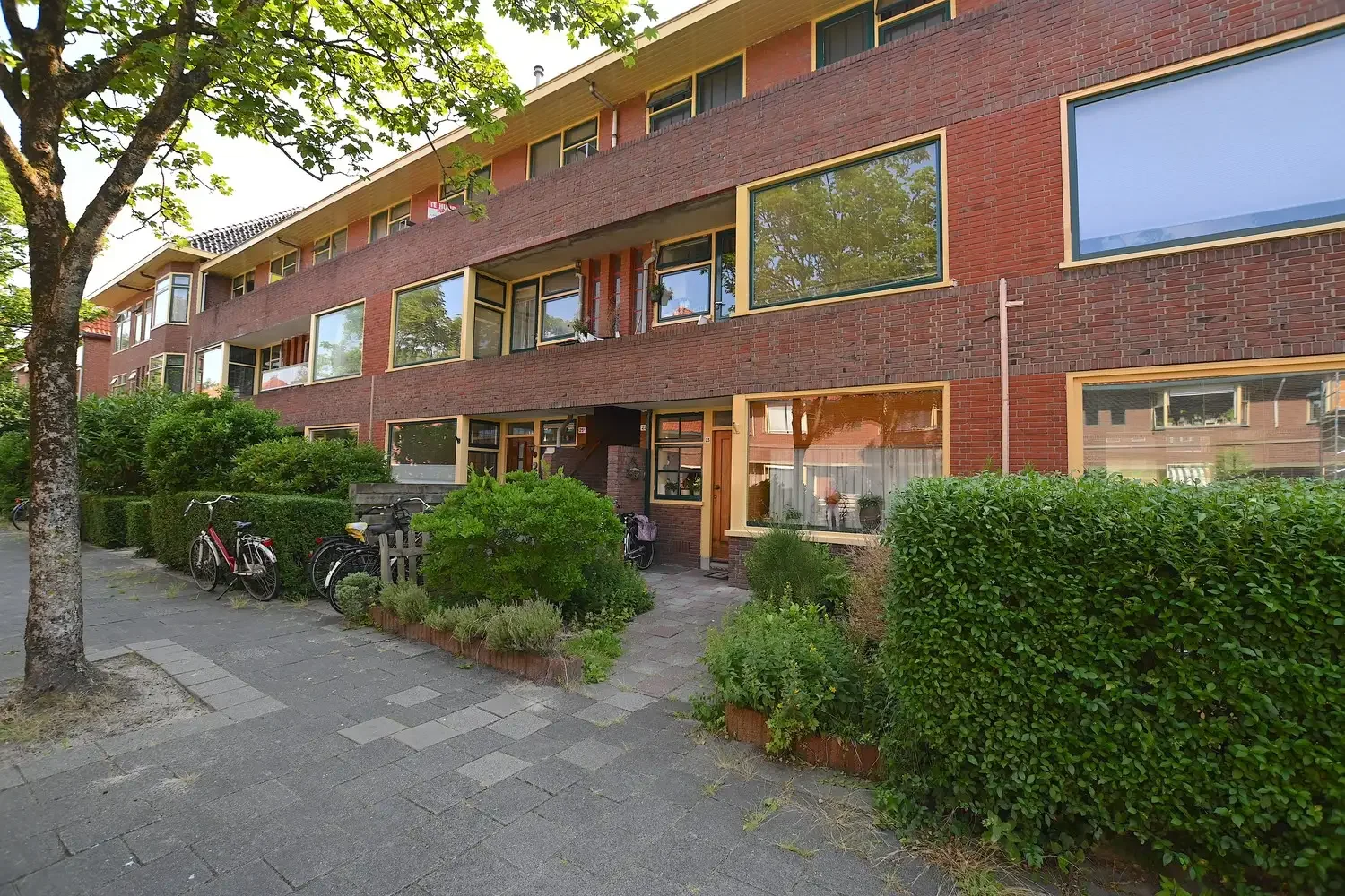 geblurde versie van de foto als achtergrond