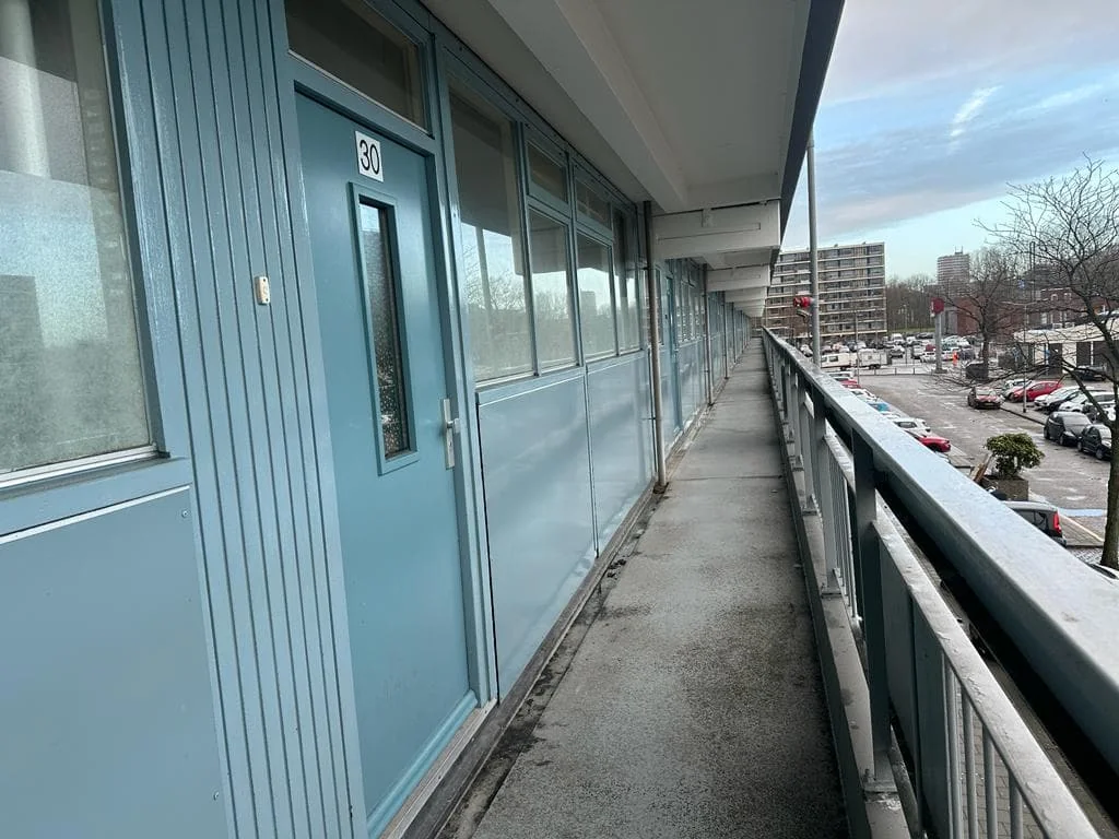 geblurde versie van de foto als achtergrond