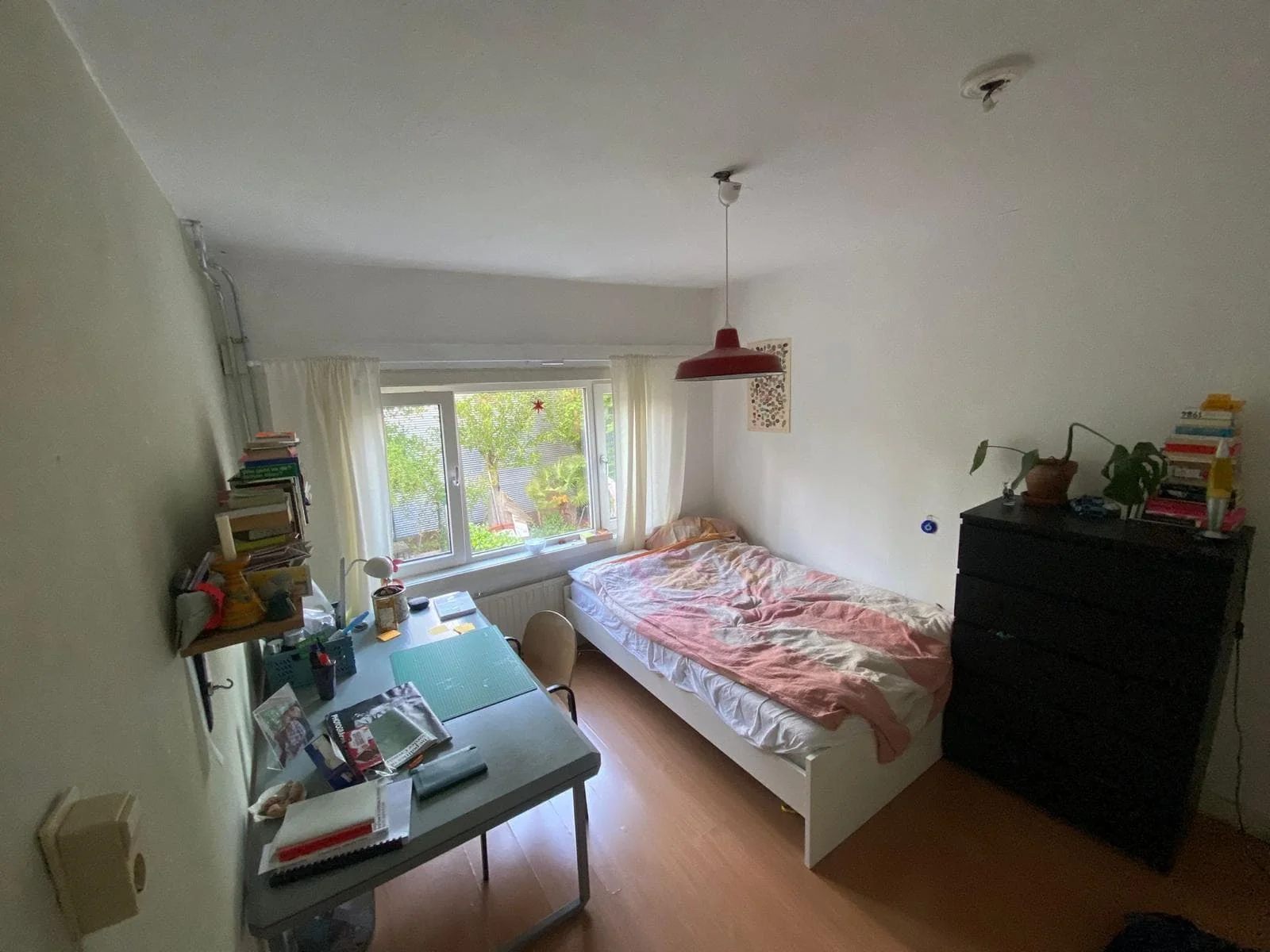 geblurde versie van de foto als achtergrond