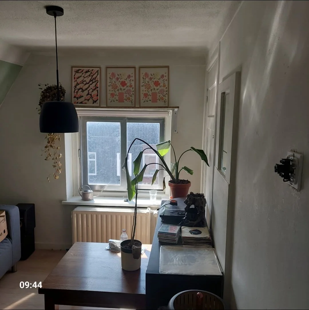 geblurde versie van de foto als achtergrond