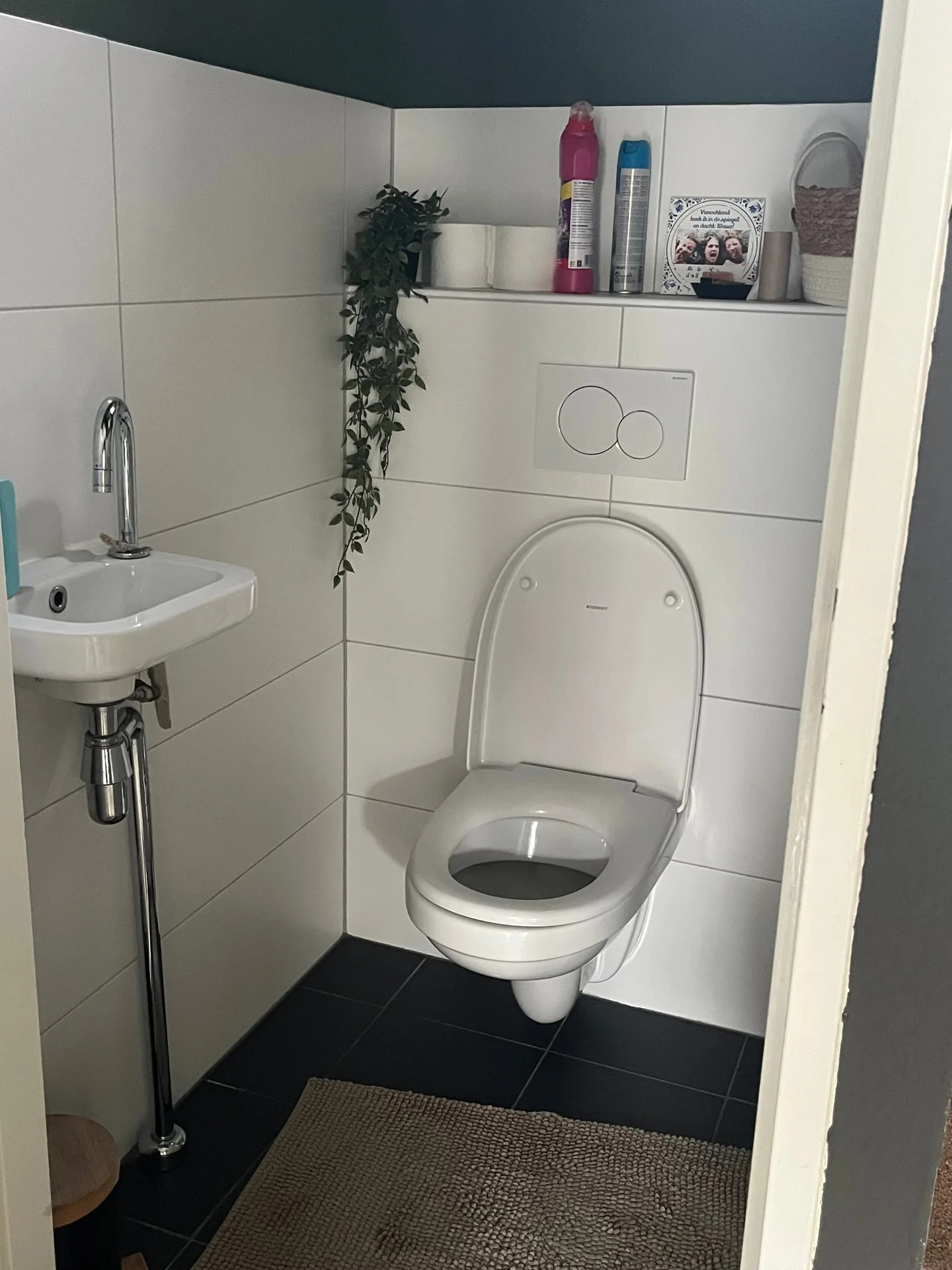 geblurde versie van de foto als achtergrond